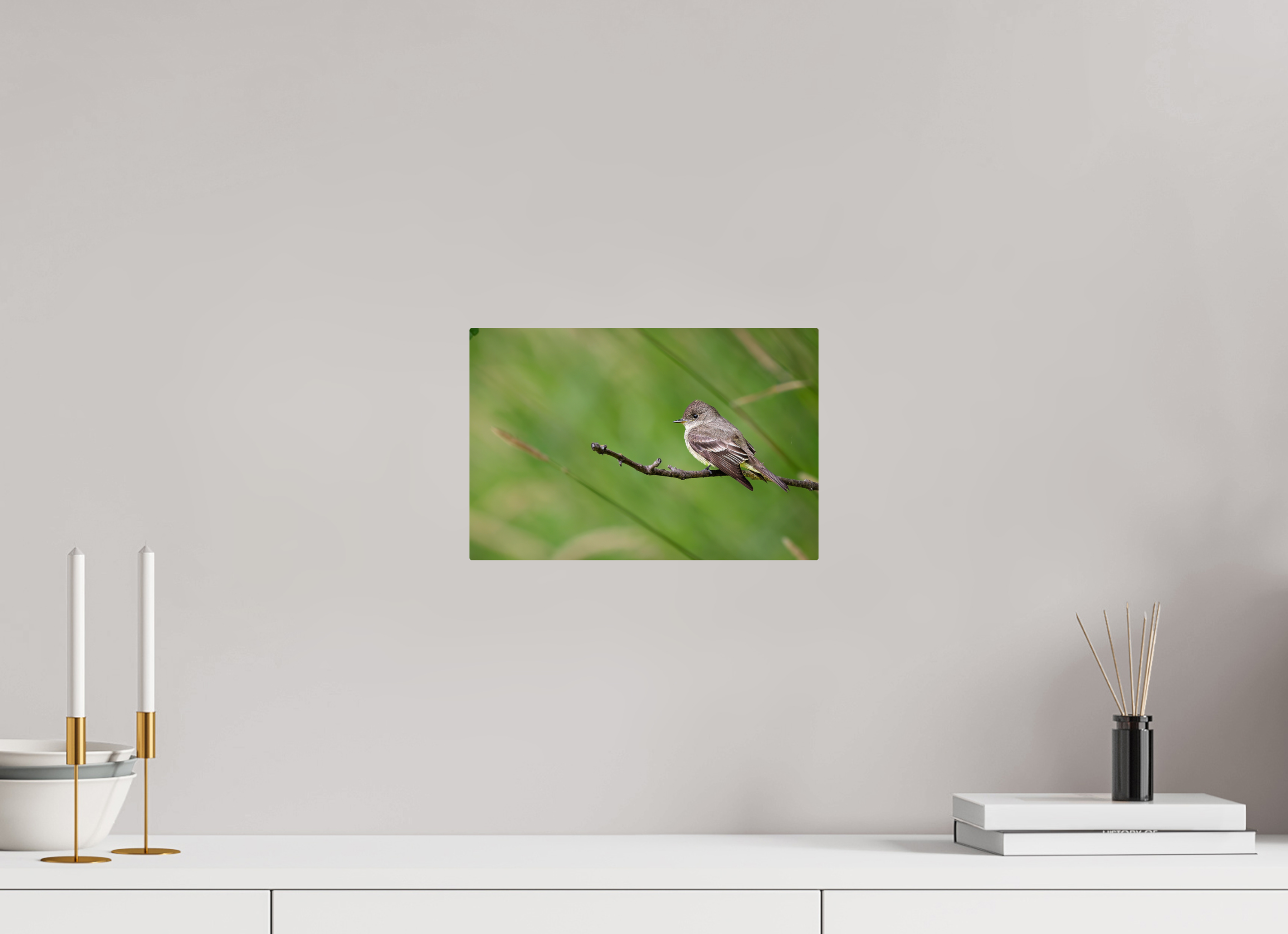 12 x 8″, ChromeLuxe HD Metal Print Rounded Conrners Western Wood-Pewee on a Bare Twig