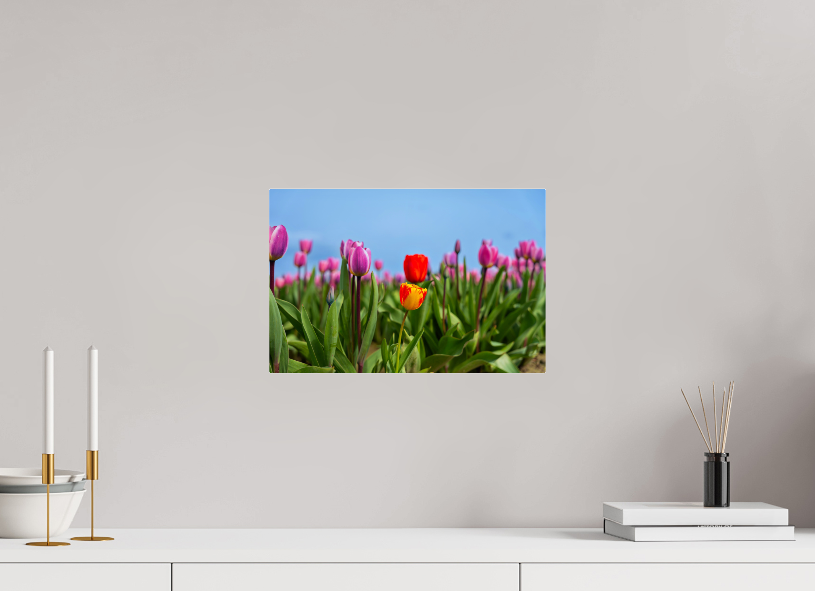 15 x 10″, Acrylic Glass Rounded Corners Red and Yellow Tulips Among a Purple Field