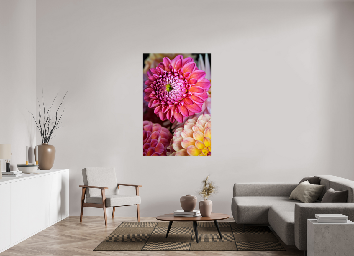 40 x 60″, ChromeLuxe HD Metal Print Rounded Conrners Pink Dahlia Unfurling