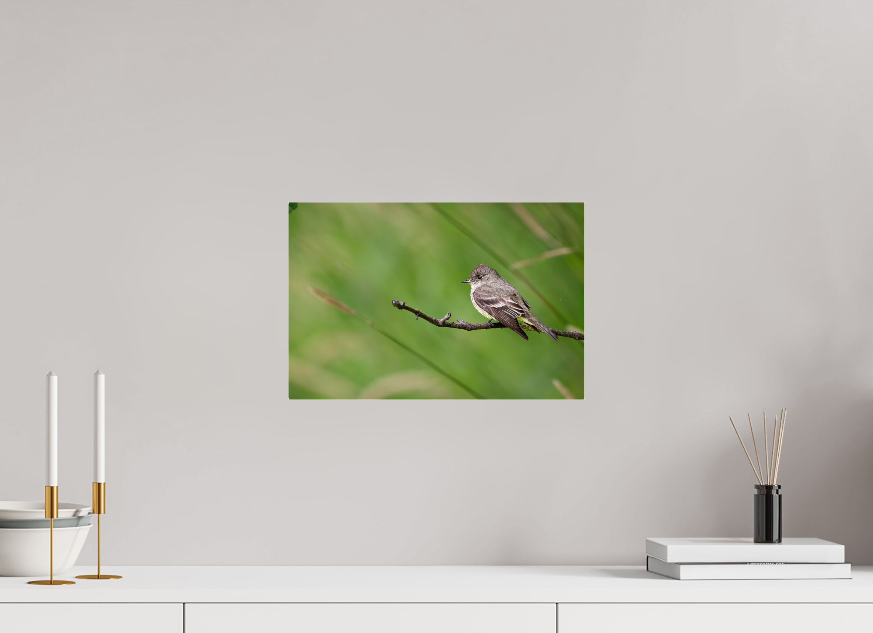 15 x 10″, Acrylic Glass Rounded Corners Western Wood-Pewee on a Bare Twig