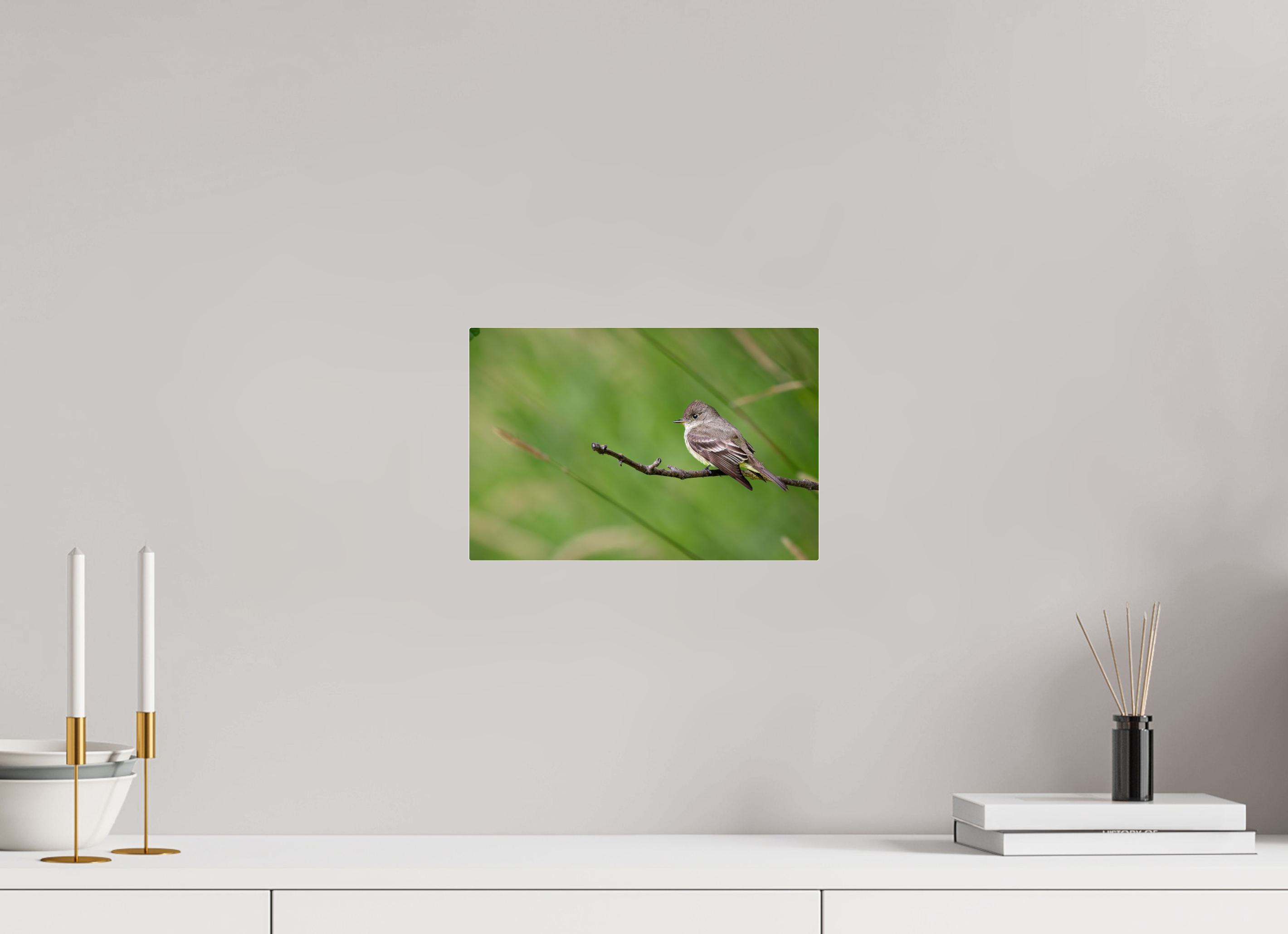 12 x 8″, Acrylic Glass Rounded Corners Western Wood-Pewee on a Bare Twig