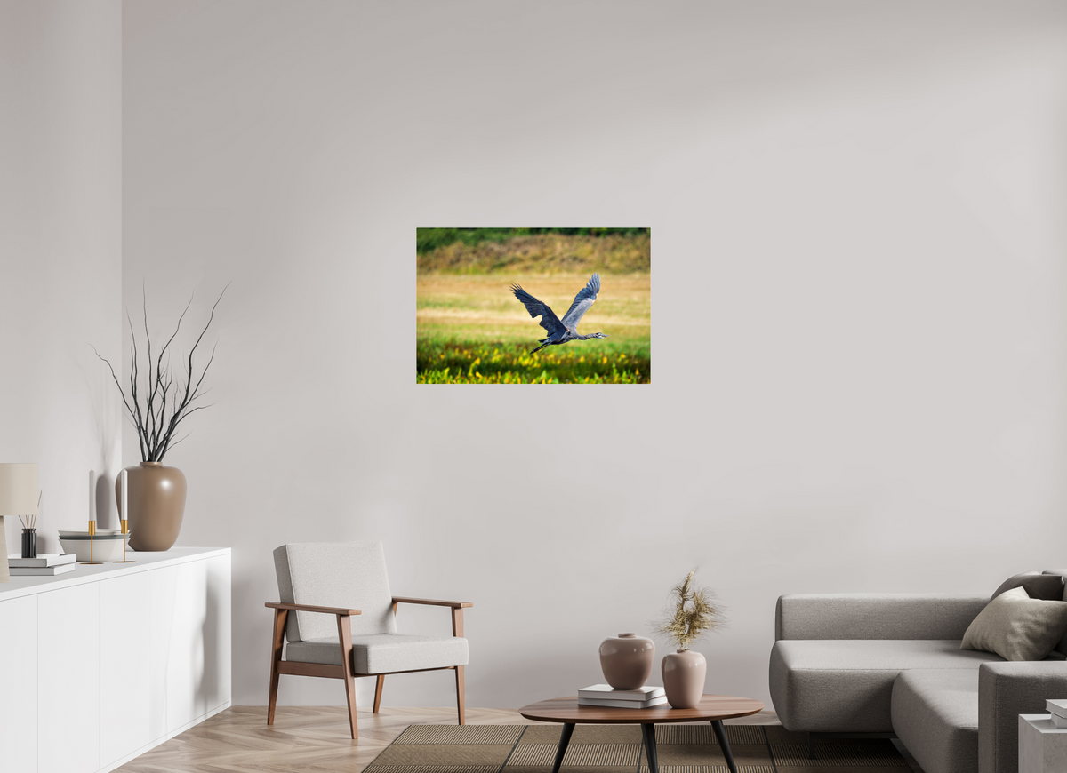36 x 24″, Acrylic Glass Rounded Corners Great Blue Heron Rising Over the Wetland