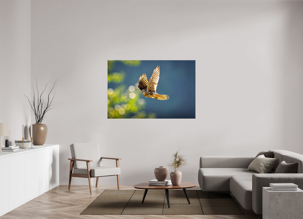 60 x 40″, ChromeLuxe HD Metal Print Rounded Conrners American Kestrel on the Wing