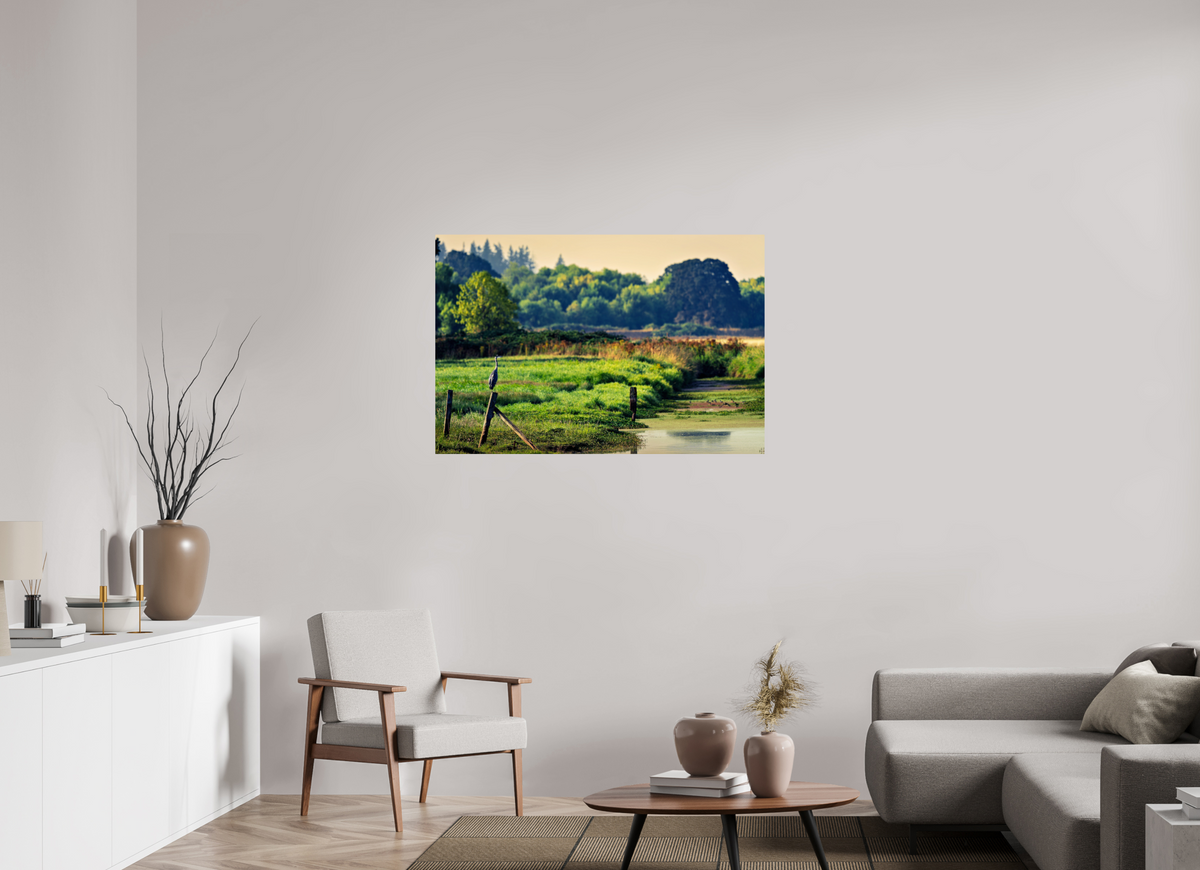 45 x 30″, ChromeLuxe HD Metal Print Rounded Conrners Great Blue Heron Watching Over the Wetland