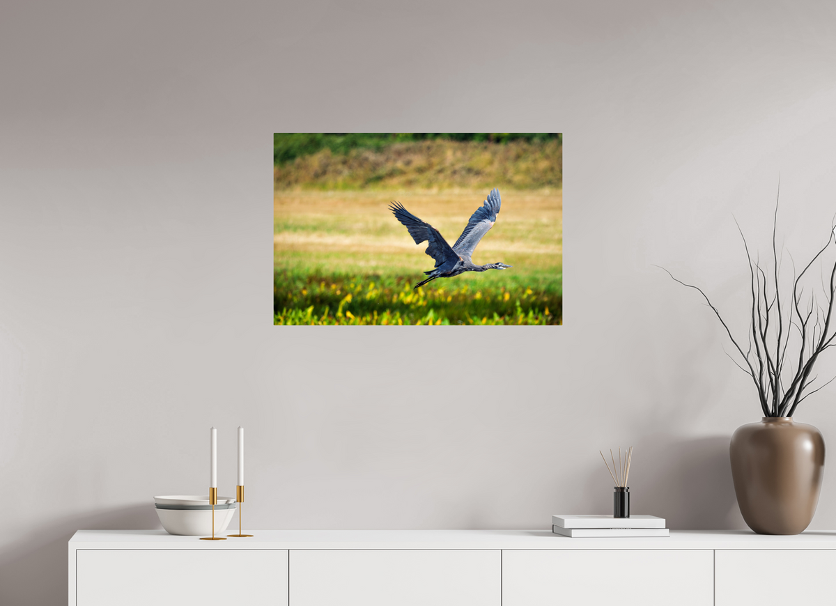 30 x 20″, ChromeLuxe HD Metal Print Rounded Conrners Great Blue Heron Rising Over the Wetland