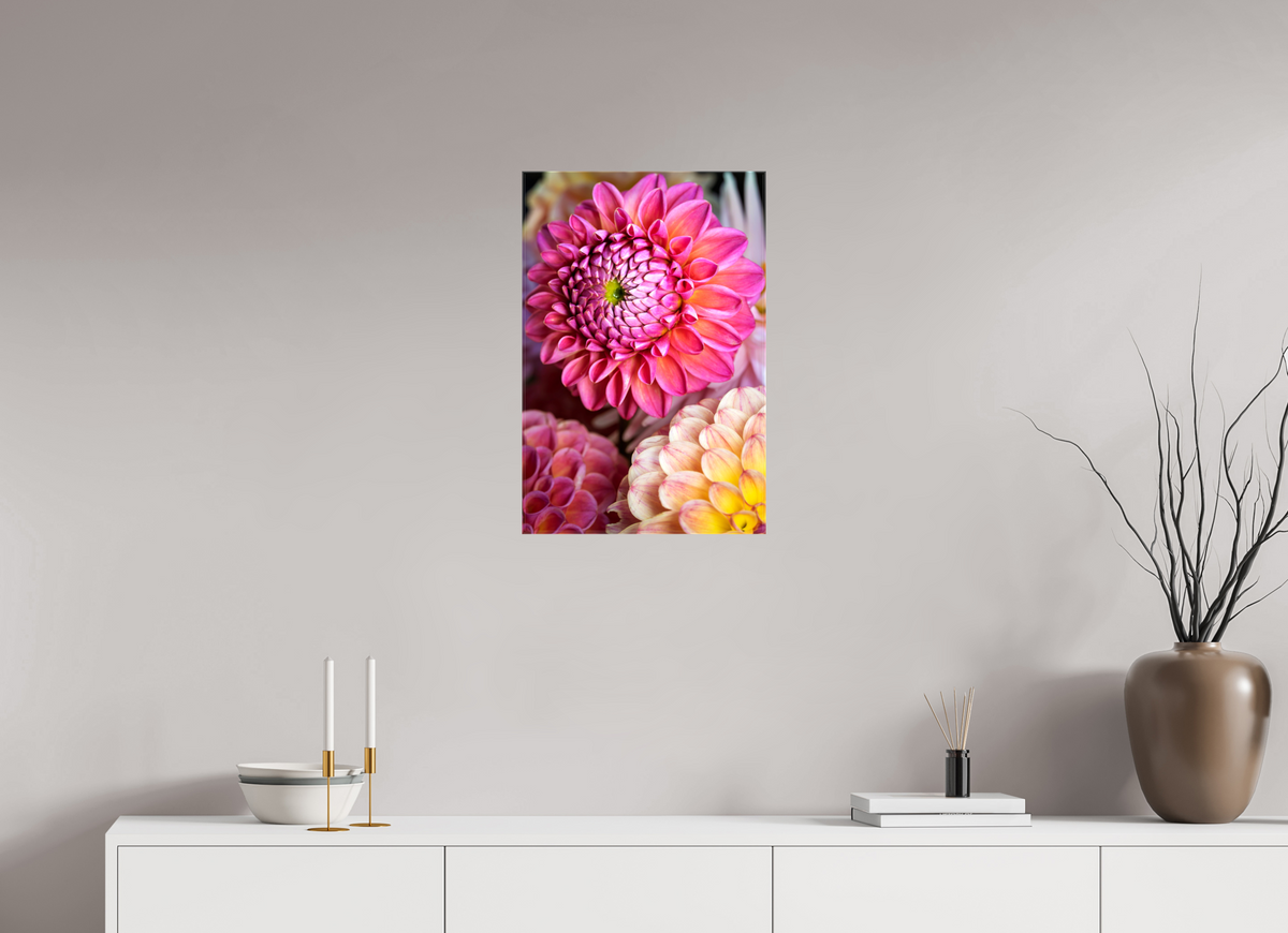 16 x 24″, Glossy Canvas Pink Dahlia Unfurling