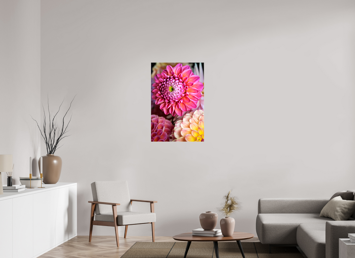 24 x 36″, Glossy Canvas Pink Dahlia Unfurling