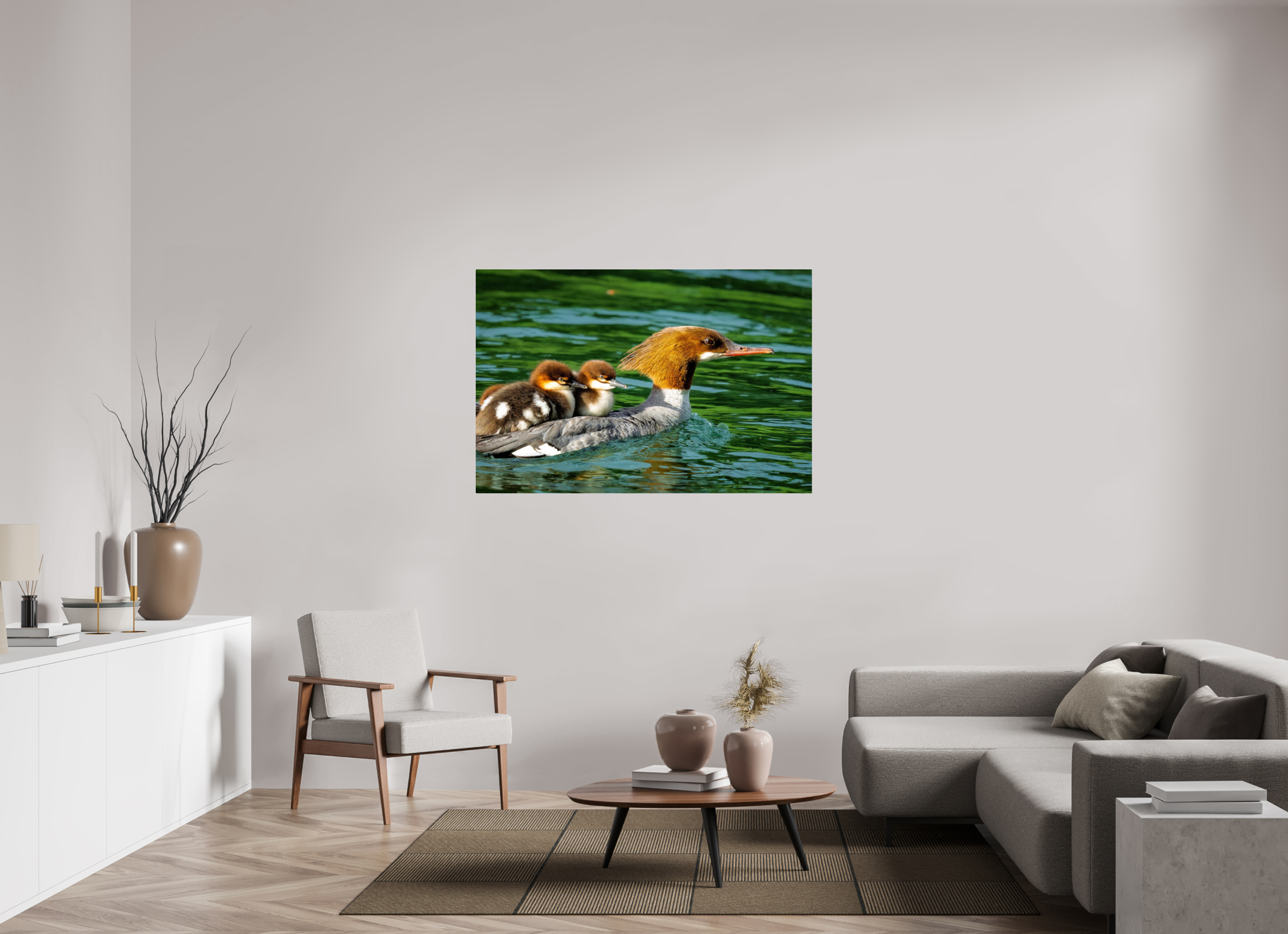 54 x 36″, Acrylic Glass Rounded Common Merganser Hen With Ducklings on Her Back