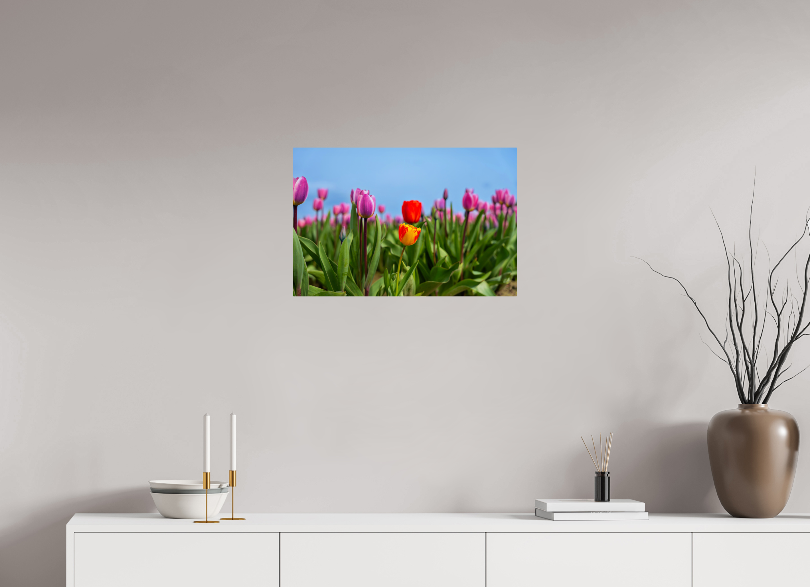 24 x 16″, ChromeLuxe HD Metal Print Rounded Conrners Red and Yellow Tulips Among a Purple Field