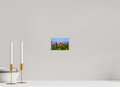 6 x 4″, Acrylic Glass Rounded Corners Red and Yellow Tulips Among a Purple Field