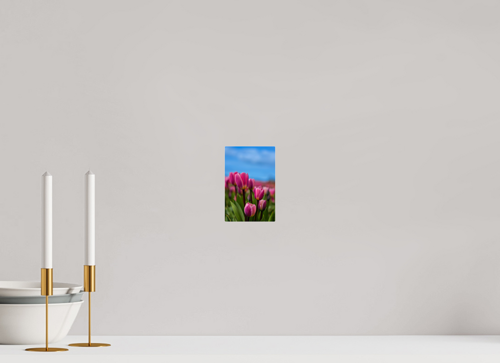 4 x 6″, Acrylic Glass Rounded Corners Pink Tulips Against an Evening Sky