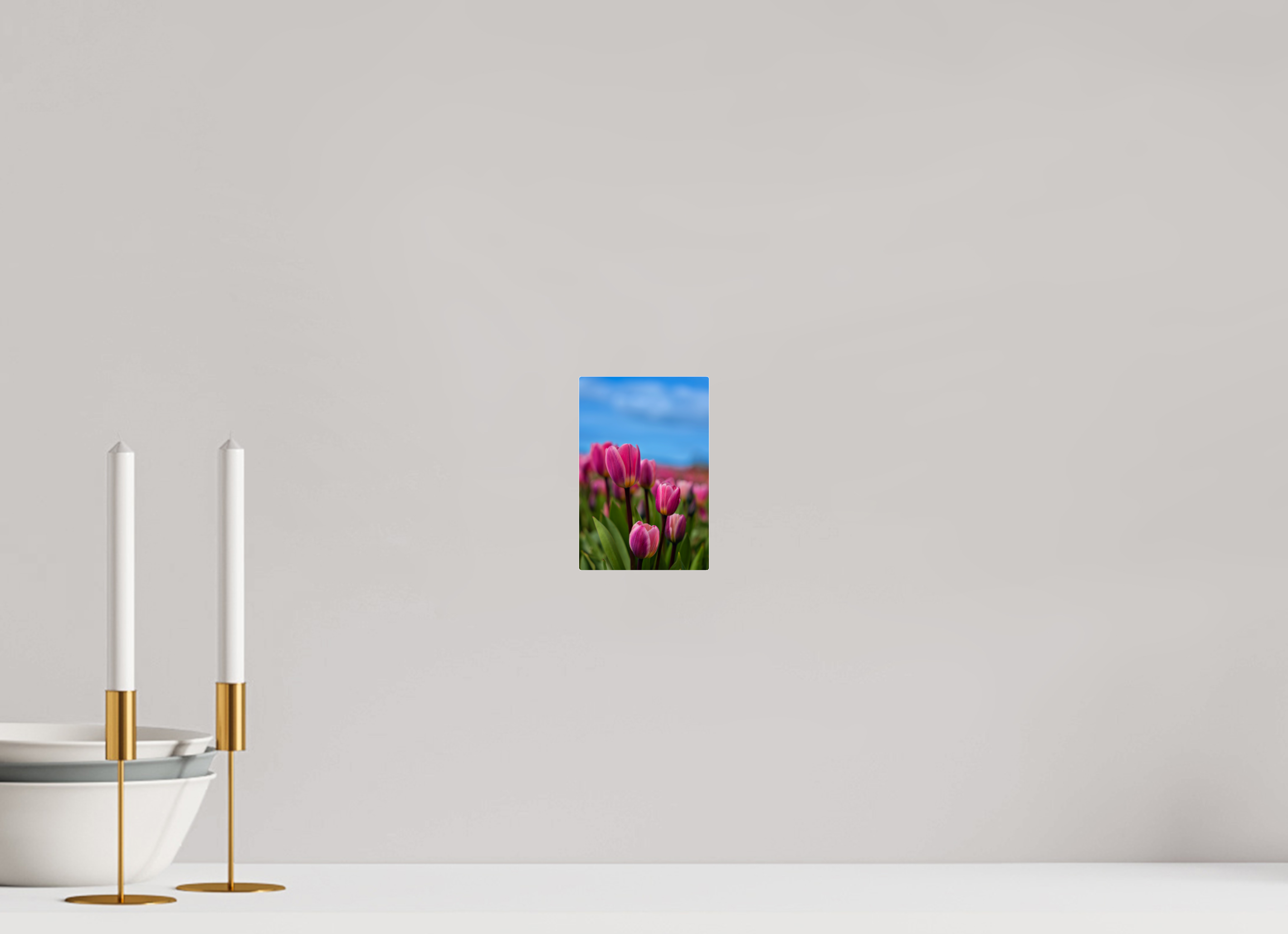 4 x 6″, Acrylic Glass Rounded Corners Pink Tulips Against an Evening Sky