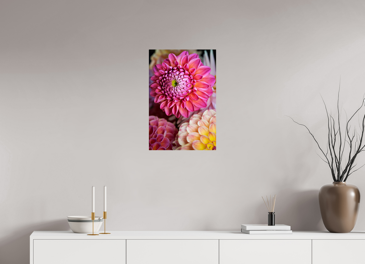 16 x 24″, ChromeLuxe HD Metal Print Rounded Conrners Pink Dahlia Unfurling