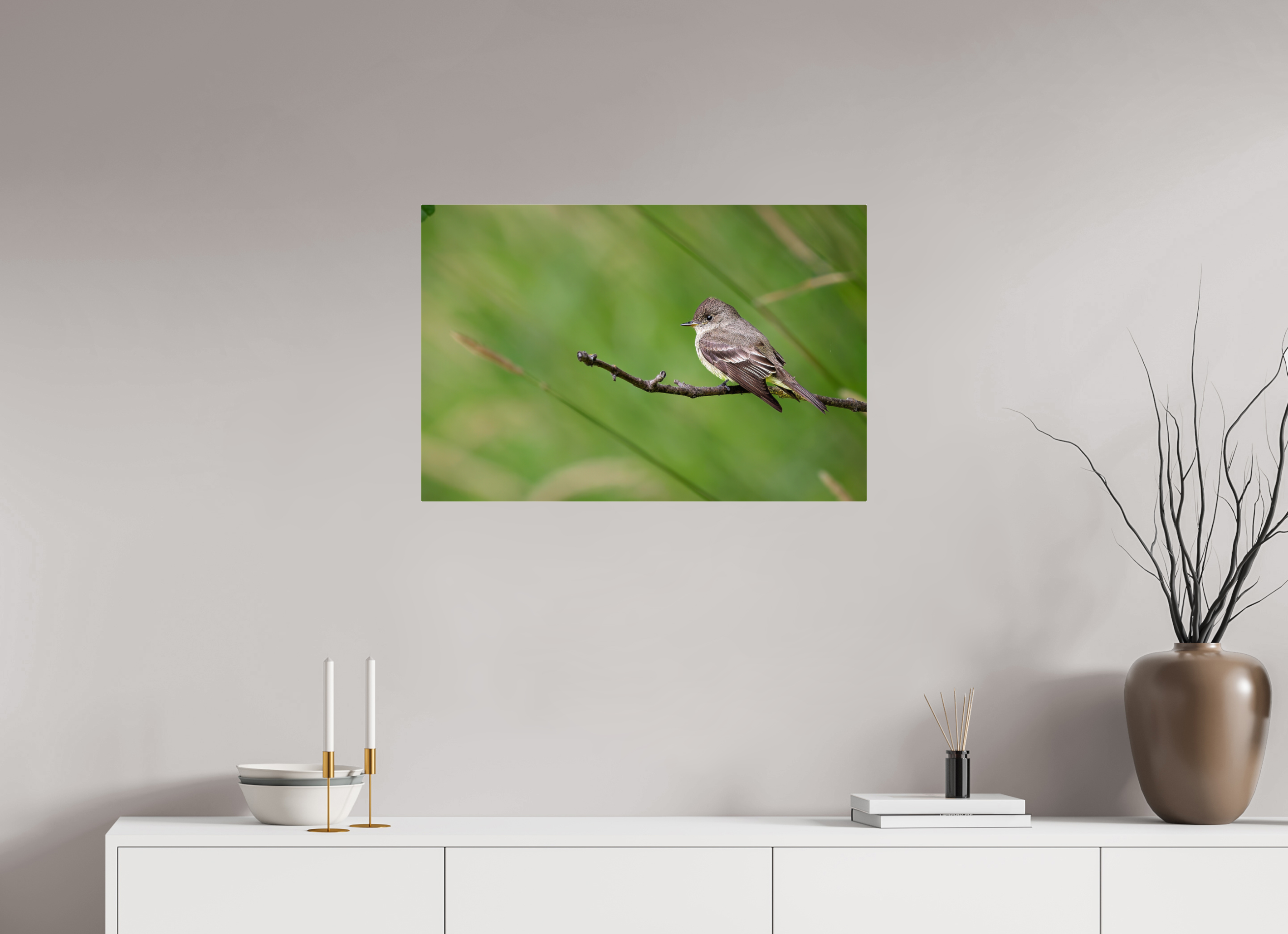 30 x 20″, Acrylic Glass Rounded Corners Western Wood-Pewee on a Bare Twig