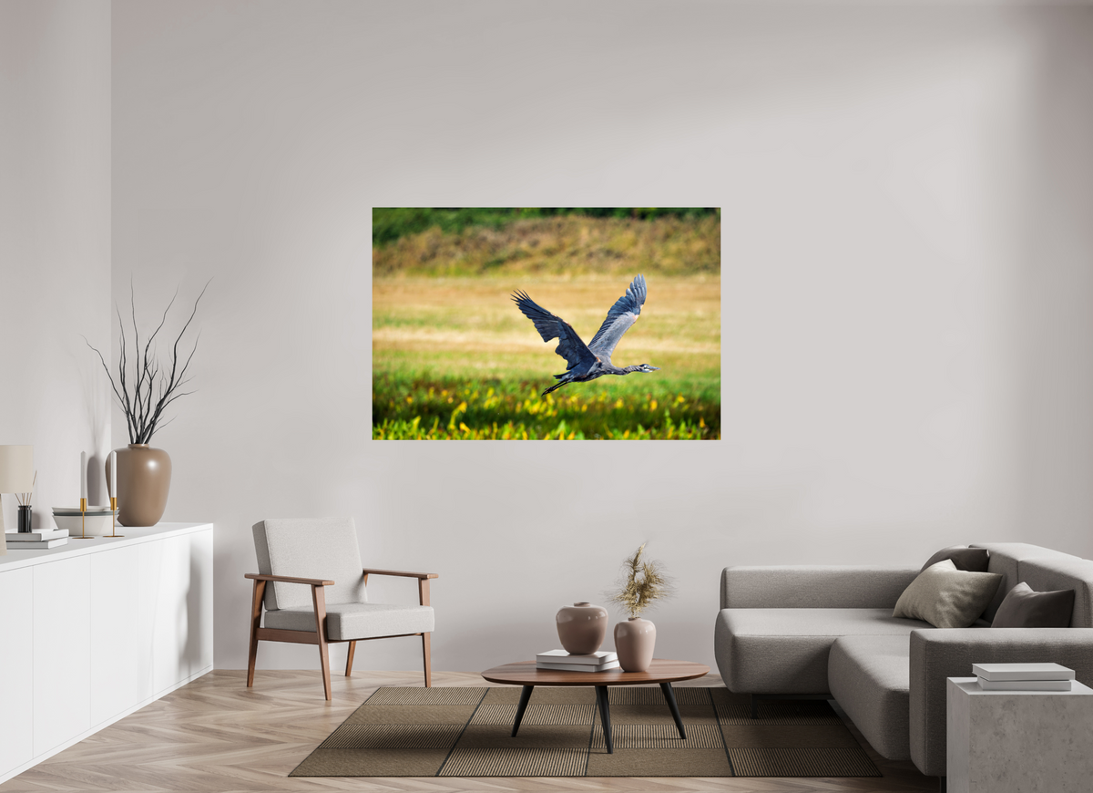 66 x 44″, ChromeLuxe HD Metal Print Rounded Conrners Great Blue Heron Rising Over the Wetland