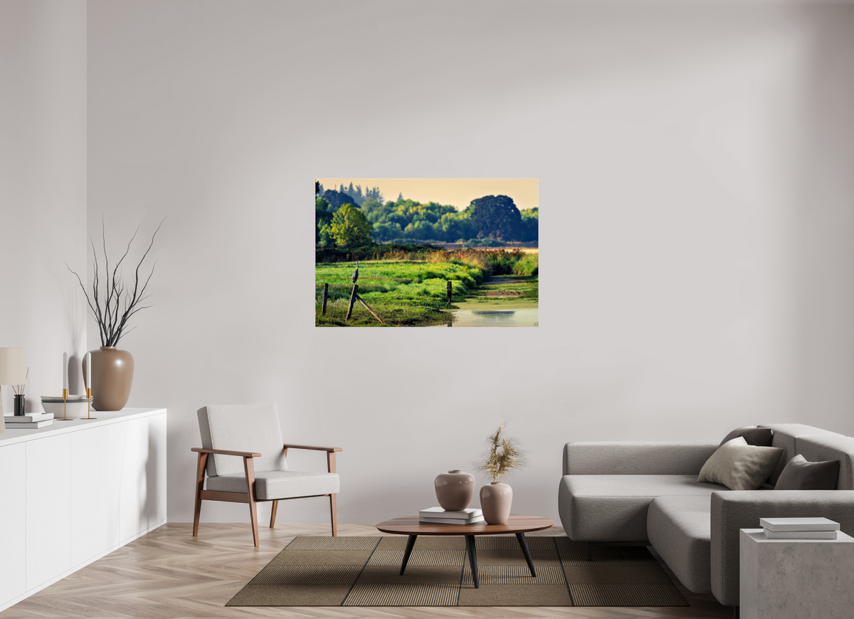 54 x 36″, Acrylic Glass Rounded Corners Great Blue Heron Watching Over the Wetland