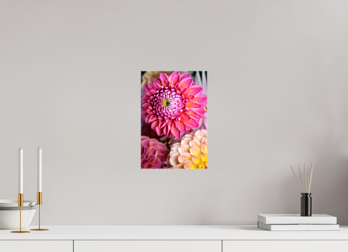 8 x 12″, Glossy Canvas Pink Dahlia Unfurling