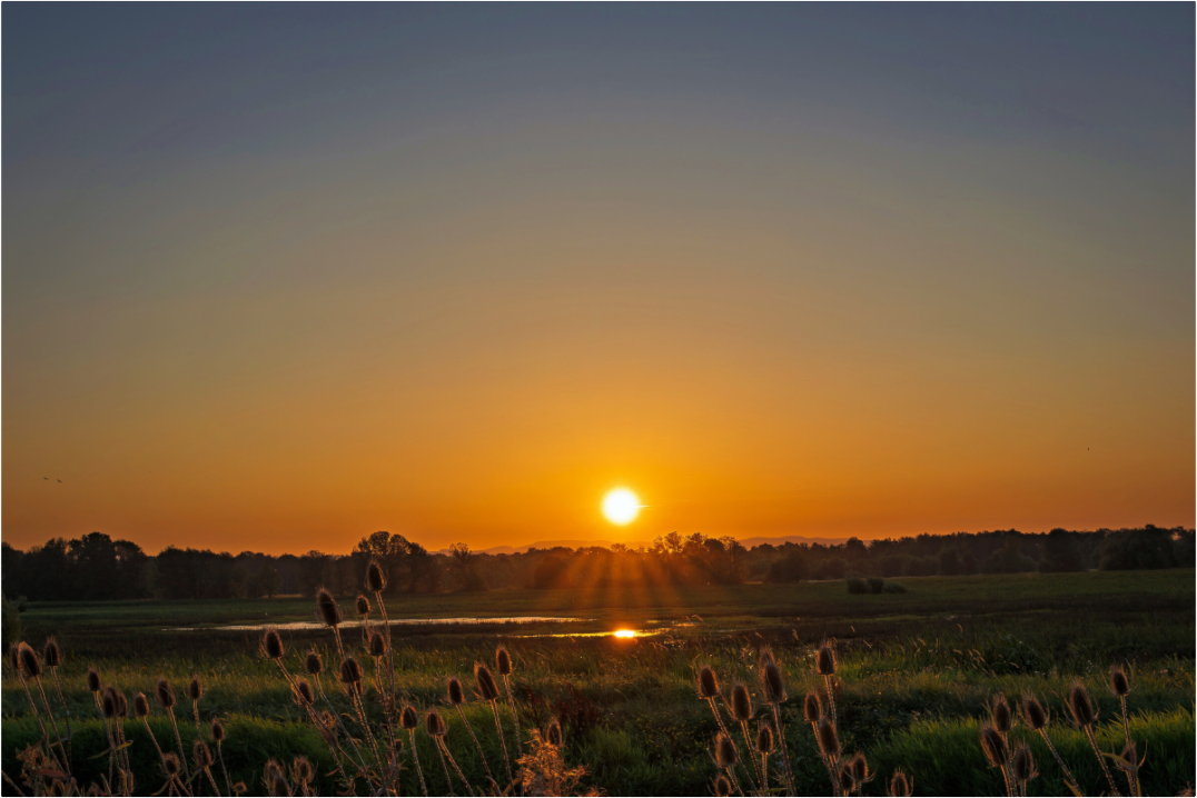 Main image Sunset Glow Over the Marsh