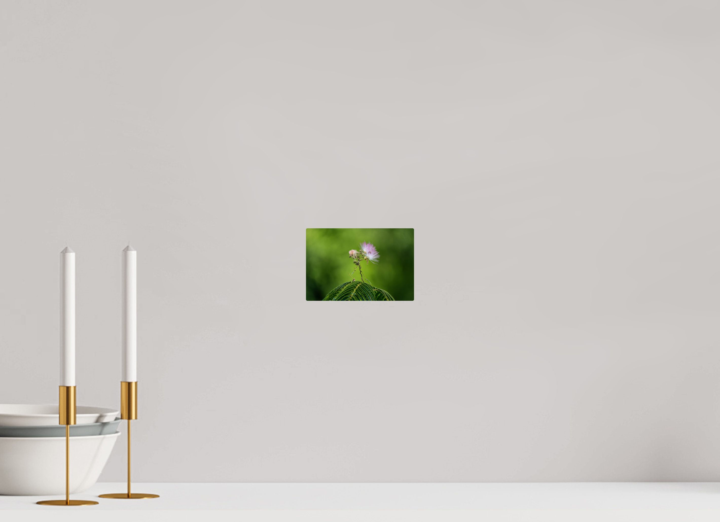 6 x 4″, ChromeLuxe HD Metal Print Mimosa Blossom Against Green Bokeh