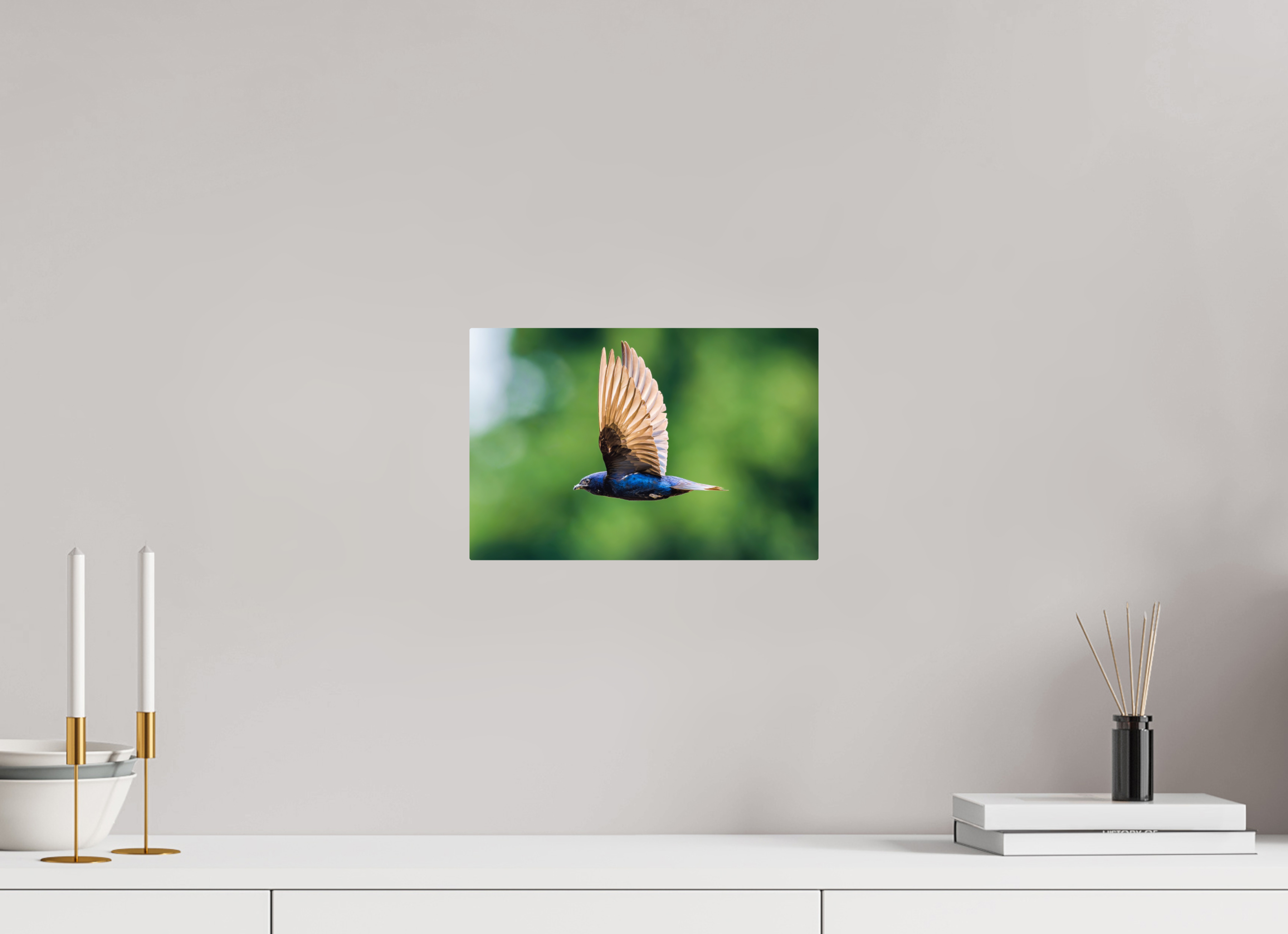 12 x 8″, ChromeLuxe HD Metal Print Rounded Conrners Purple Martin in Flight