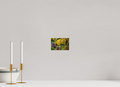 6 x 4″, Acrylic Glass Rounded Corners Historic Gristmill in Autumn Color