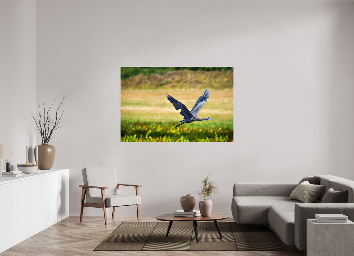 66 x 44″, Acrylic Glass Rounded Corners Great Blue Heron Rising Over the Wetland