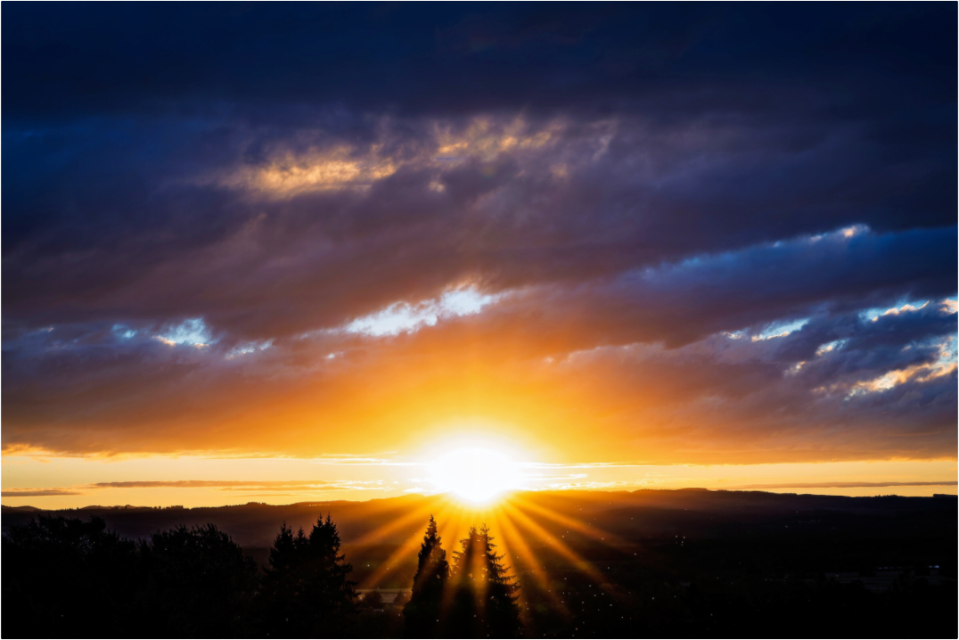 Main image Sunburst Behind the Silhouetted Pines