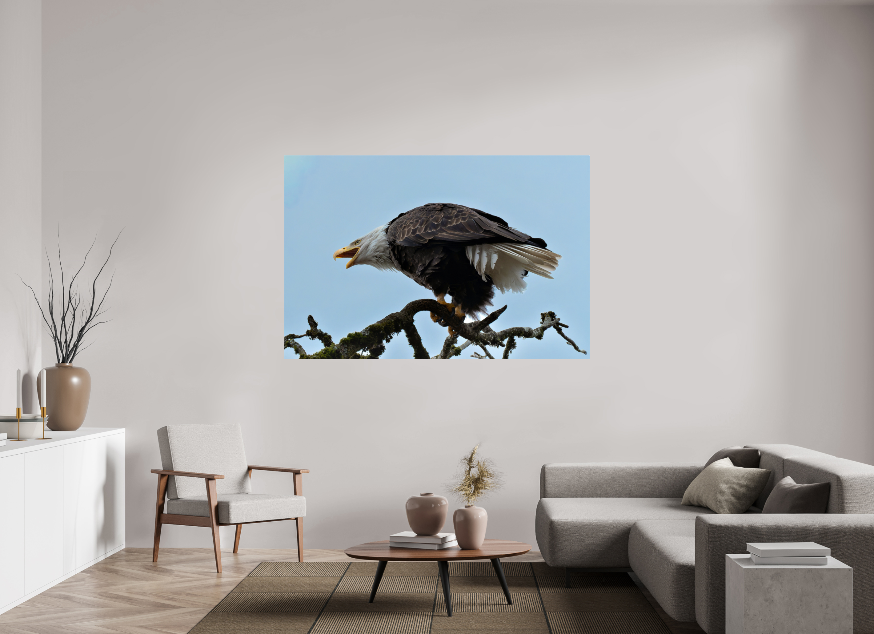 70.5 x 47″, Acrylic Glass Rounded Corners Bald Eagle Calling from the Snag