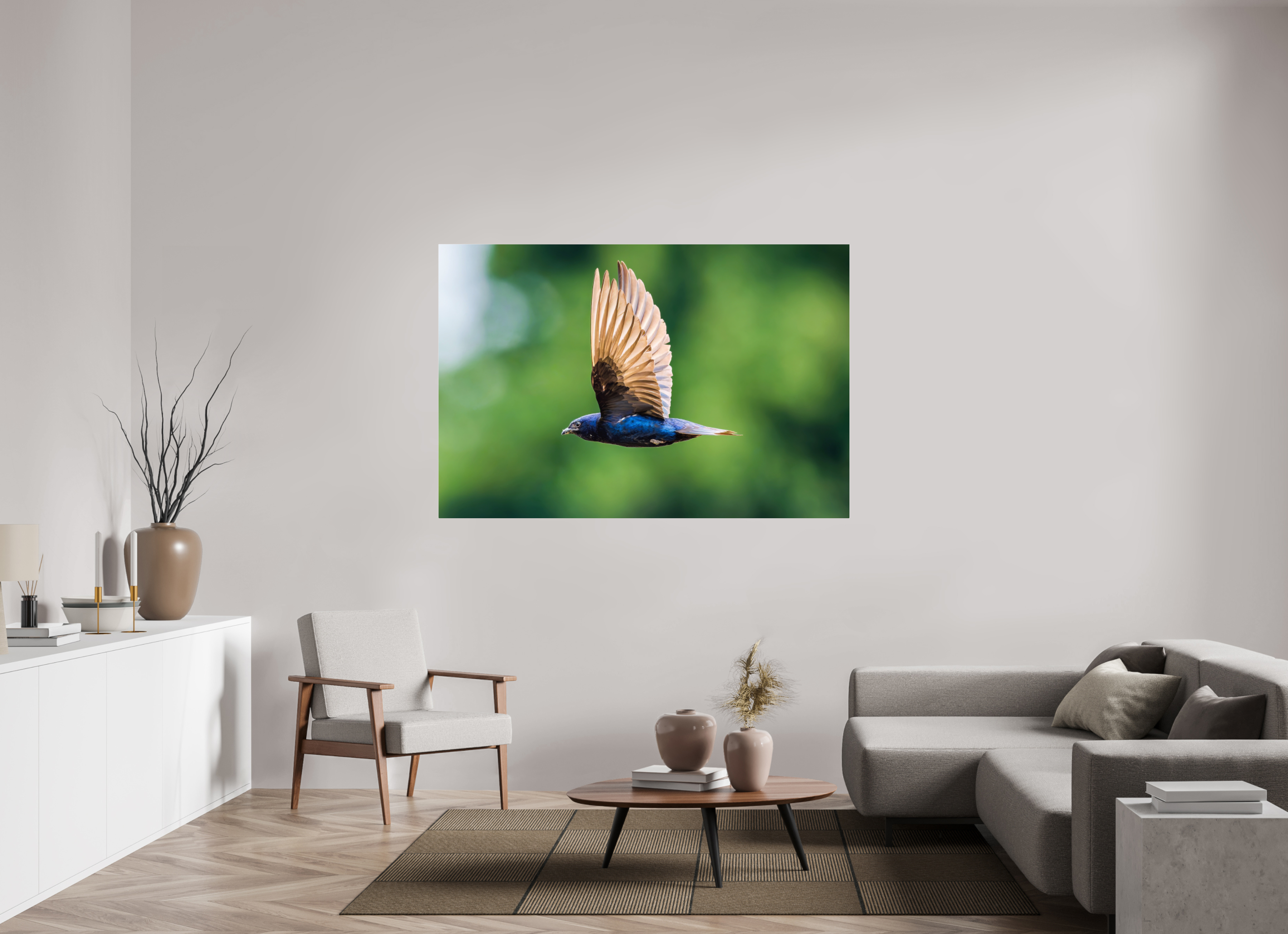 66 x 44″, Acrylic Glass Rounded Corners Purple Martin in Flight