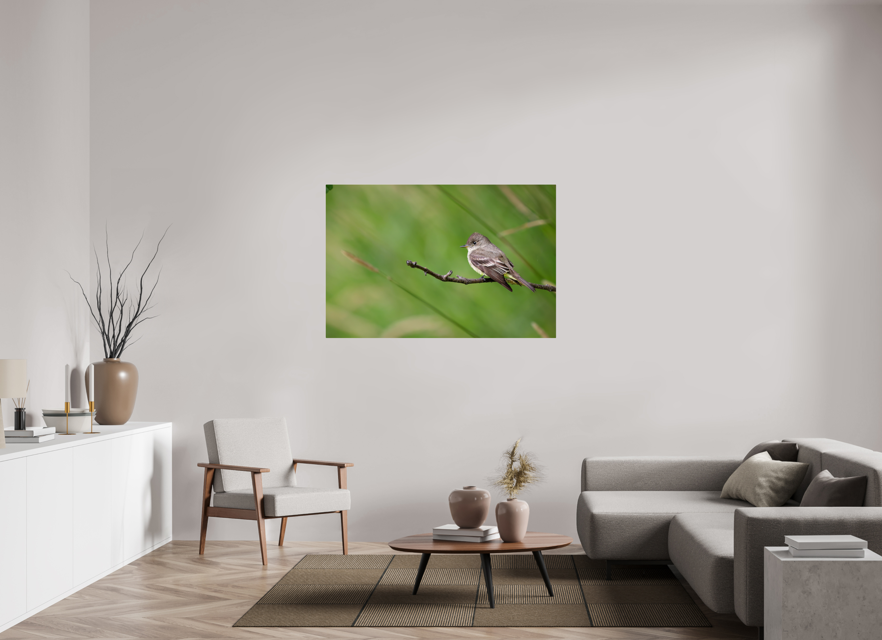 54 x 36″, Acrylic Glass Rounded Corners Western Wood-Pewee on a Bare Twig