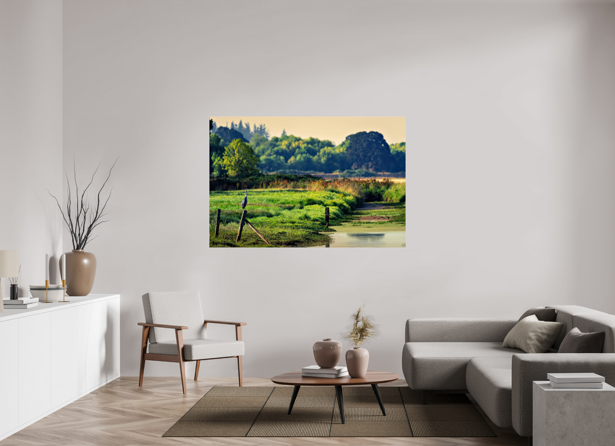 66 x 44″, Acrylic Glass Rounded Corners Great Blue Heron Watching Over the Wetland