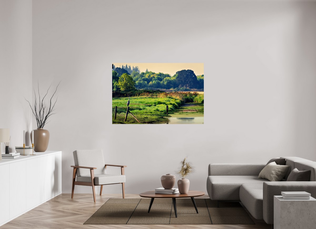 60 x 40″, ChromeLuxe HD Metal Print Rounded Conrners Great Blue Heron Watching Over the Wetland