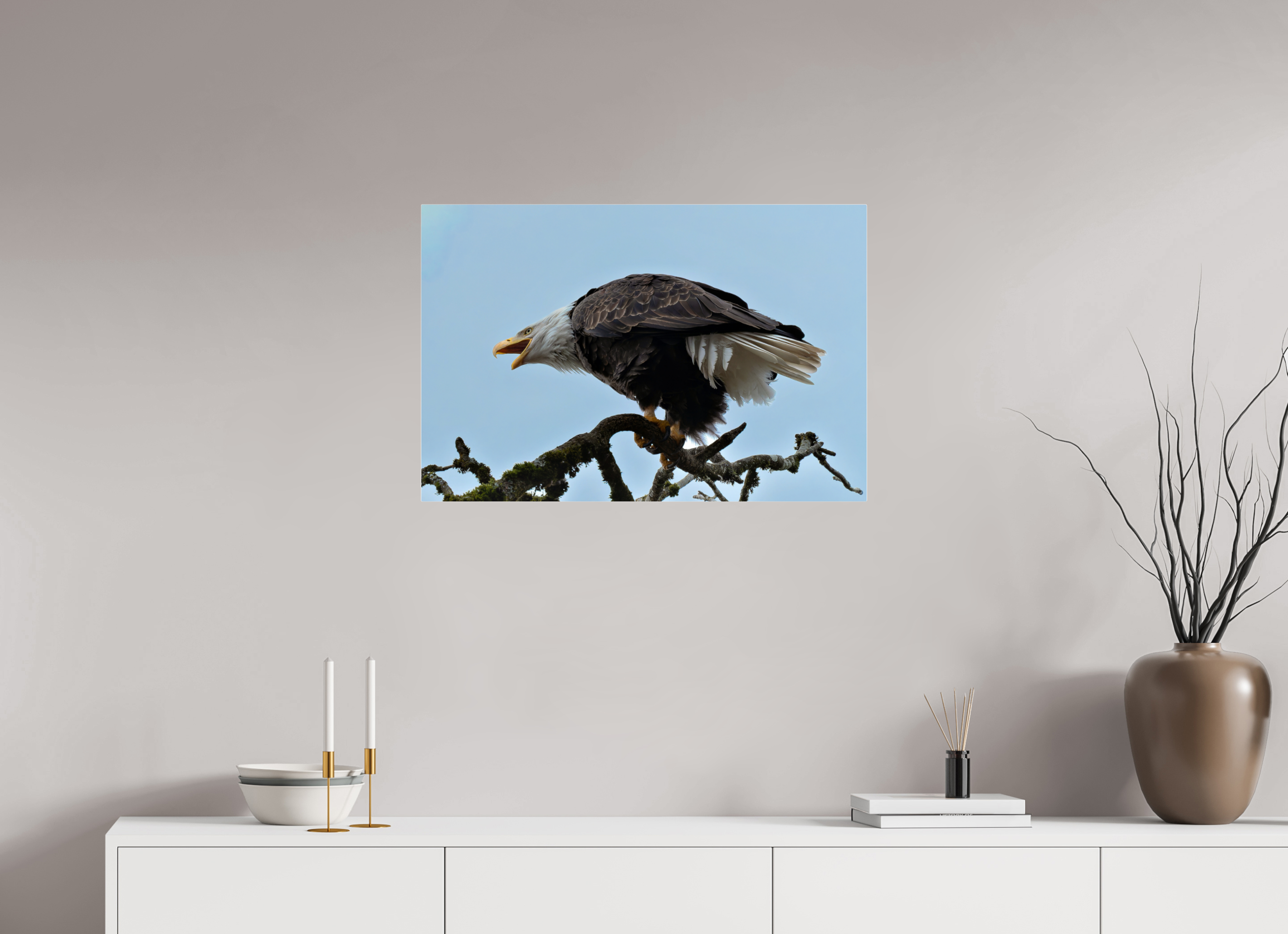 30 x 20″, Acrylic Glass Rounded Corners Bald Eagle Calling from the Snag