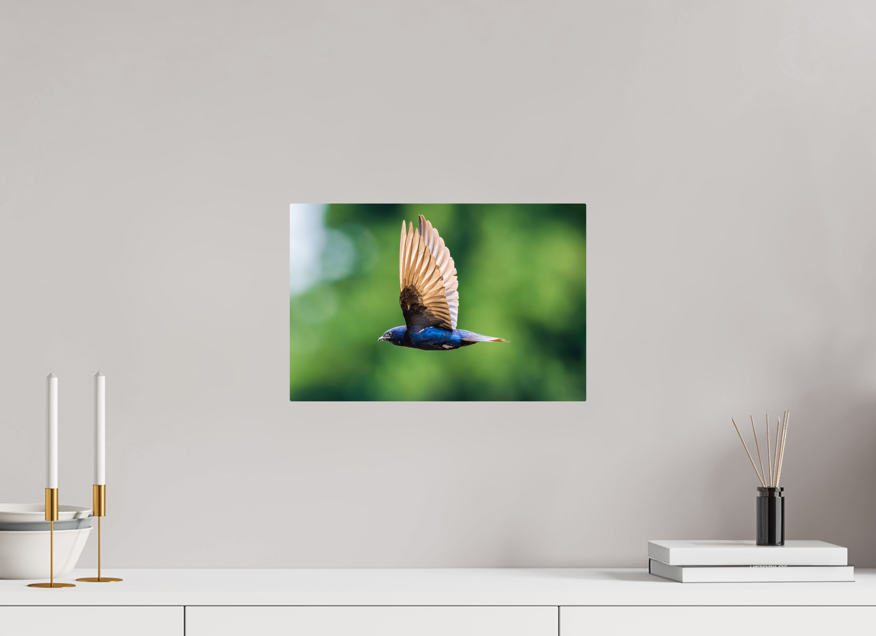 15 x 10″, ChromeLuxe HD Metal Print Rounded Conrners Purple Martin in Flight