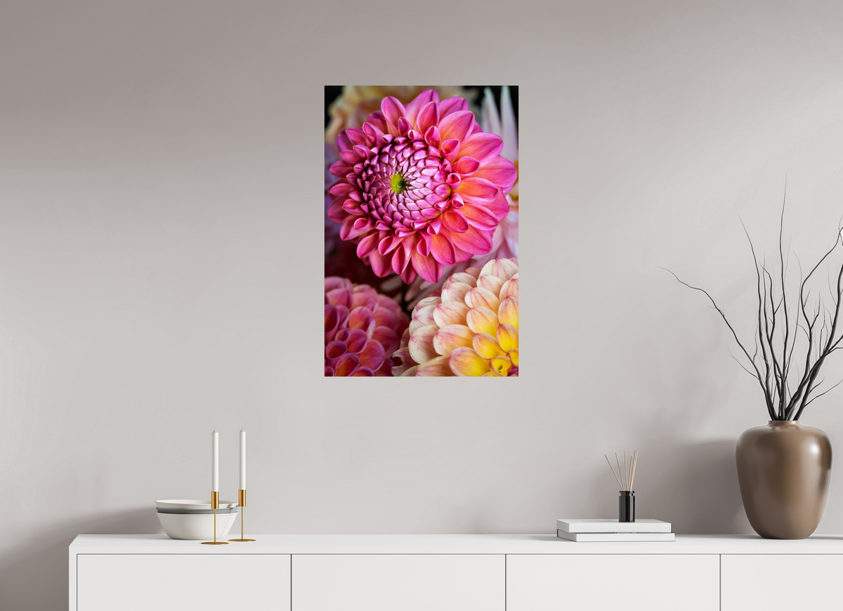 20 x 30″, ChromeLuxe HD Metal Print Rounded Conrners Pink Dahlia Unfurling