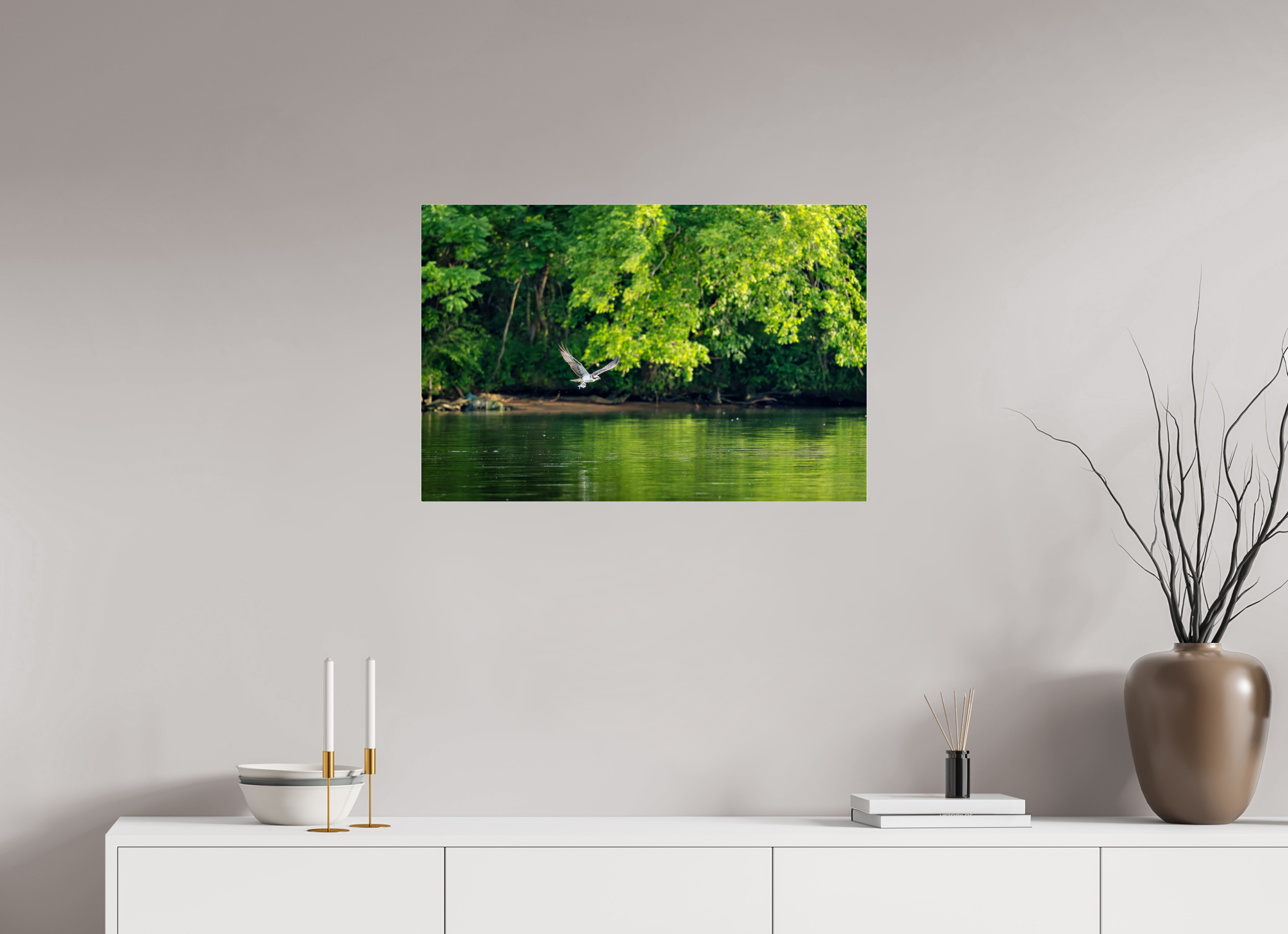 30 x 20″, Acrylic Glass Rounded Con Osprey Flying Low Over the River With a Fish