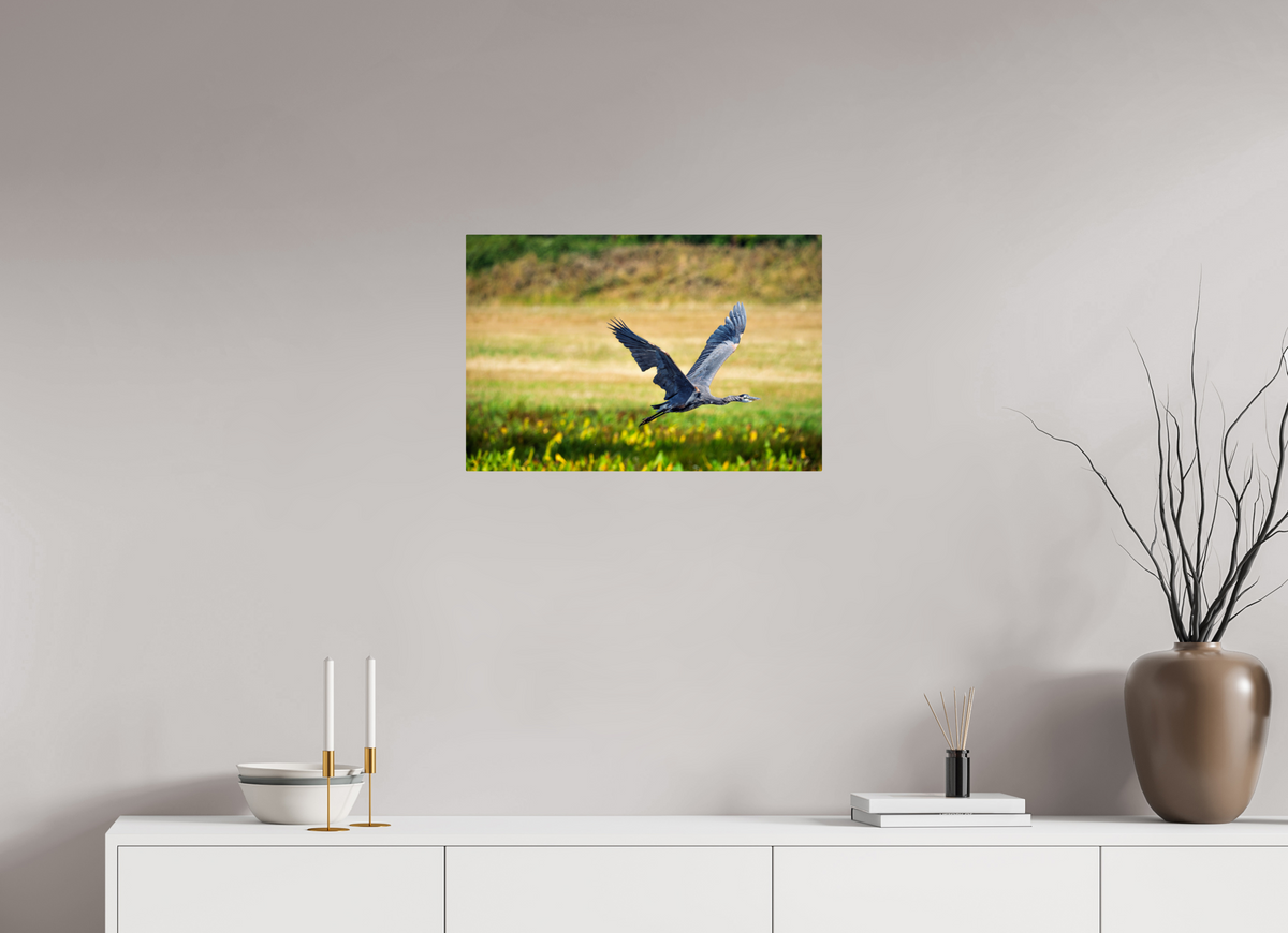 24 x 16″, ChromeLuxe HD Metal Print Rounded Conrners Great Blue Heron Rising Over the Wetland