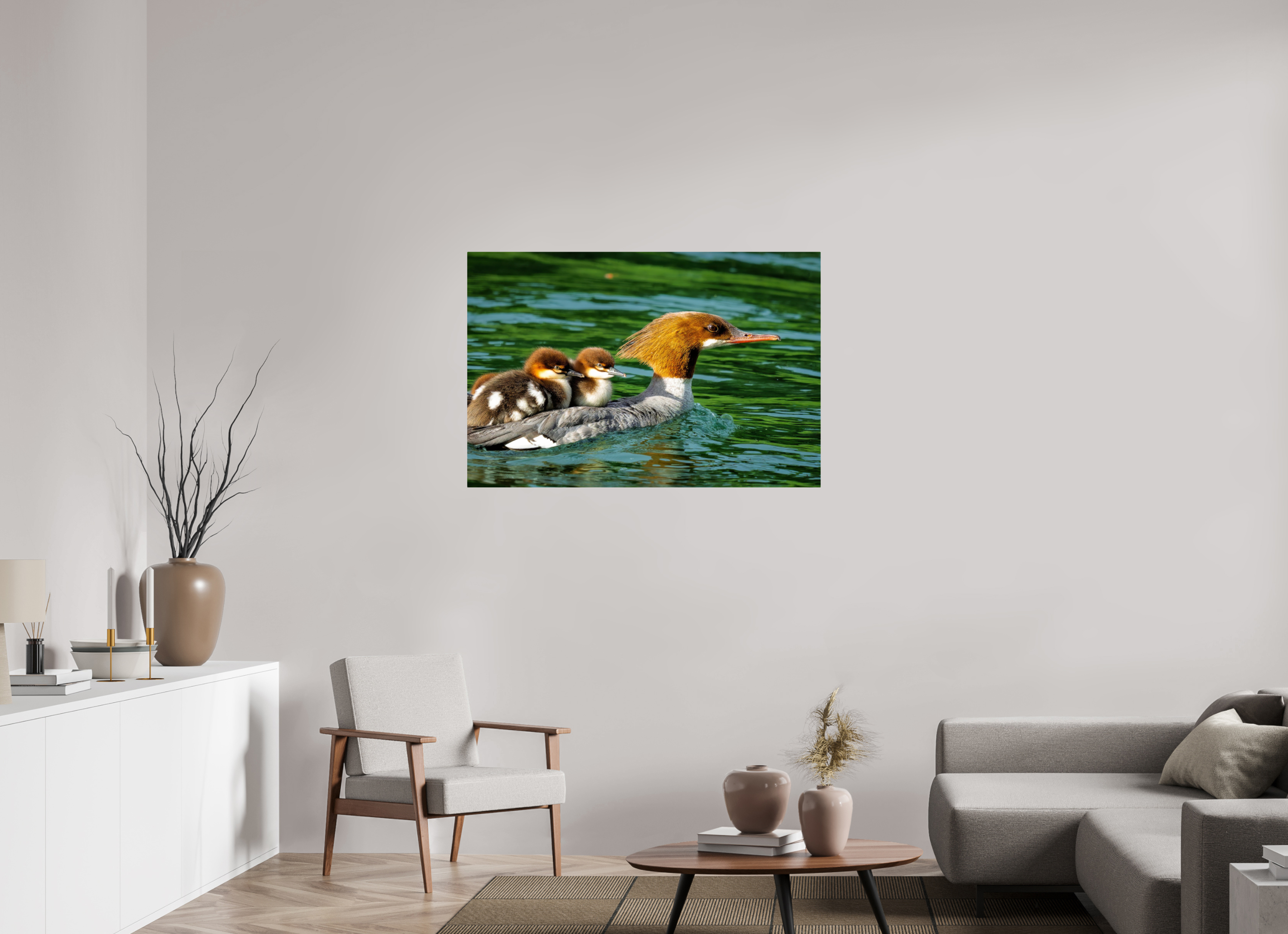 45 x 30″, ChromeLuxe HD Metal Print Acrylic Print - Common Merganser Hen With Ducklings on Her Back