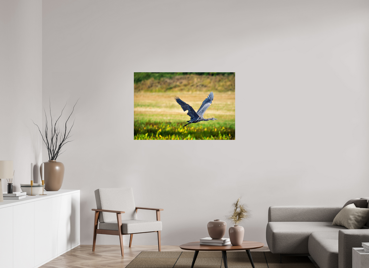 45 x 30″, ChromeLuxe HD Metal Print Rounded Conrners Great Blue Heron Rising Over the Wetland