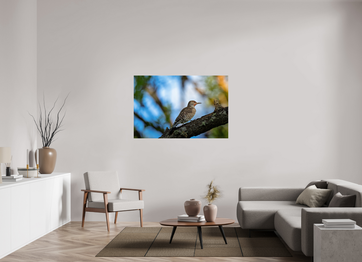 54 x 36″, ChromeLuxe HD Metal Print Rounded Conrners Northern Flicker on a Lichen-Draped Limb