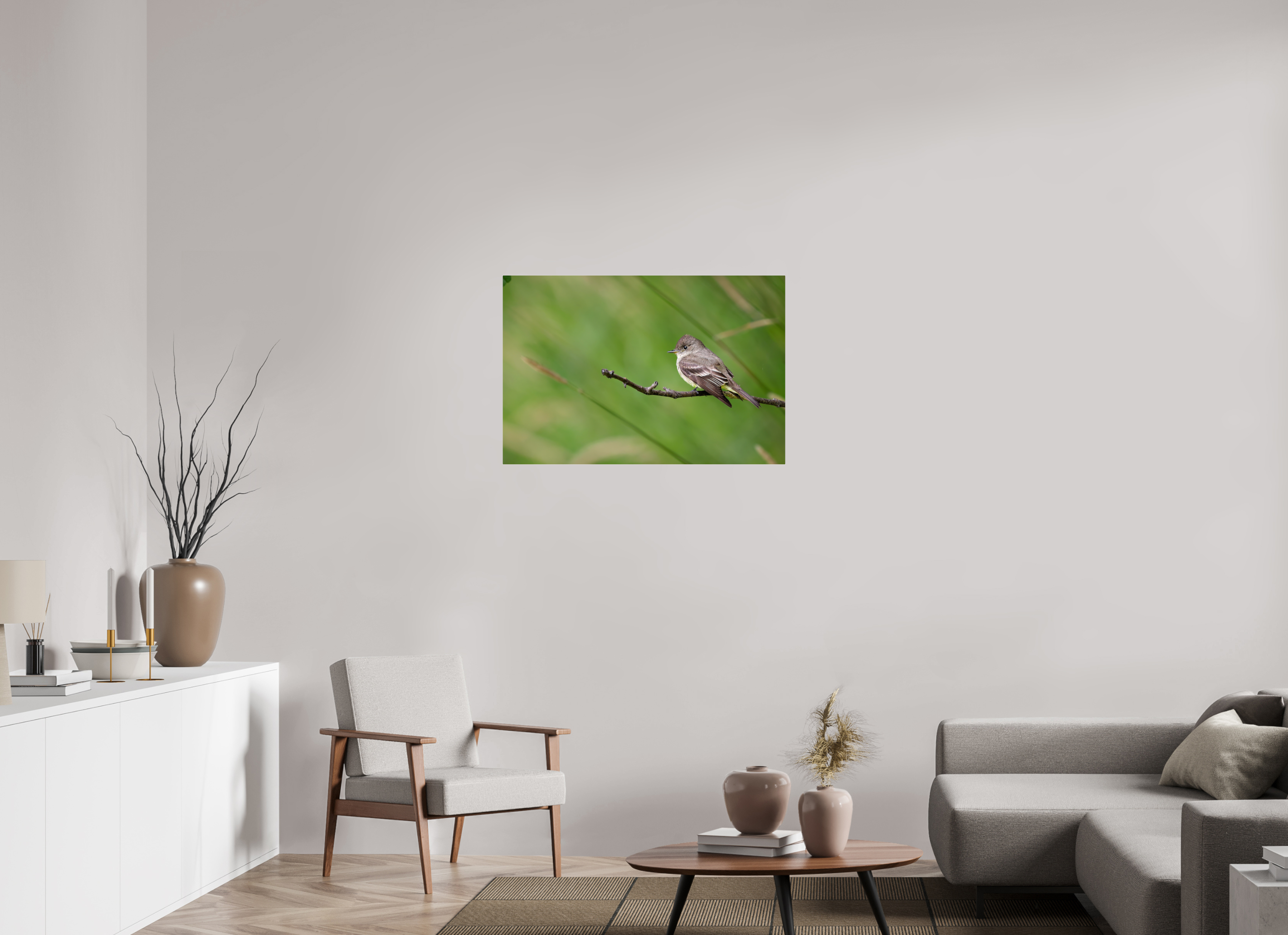 36 x 24″, Acrylic Glass Rounded Corners Western Wood-Pewee on a Bare Twig