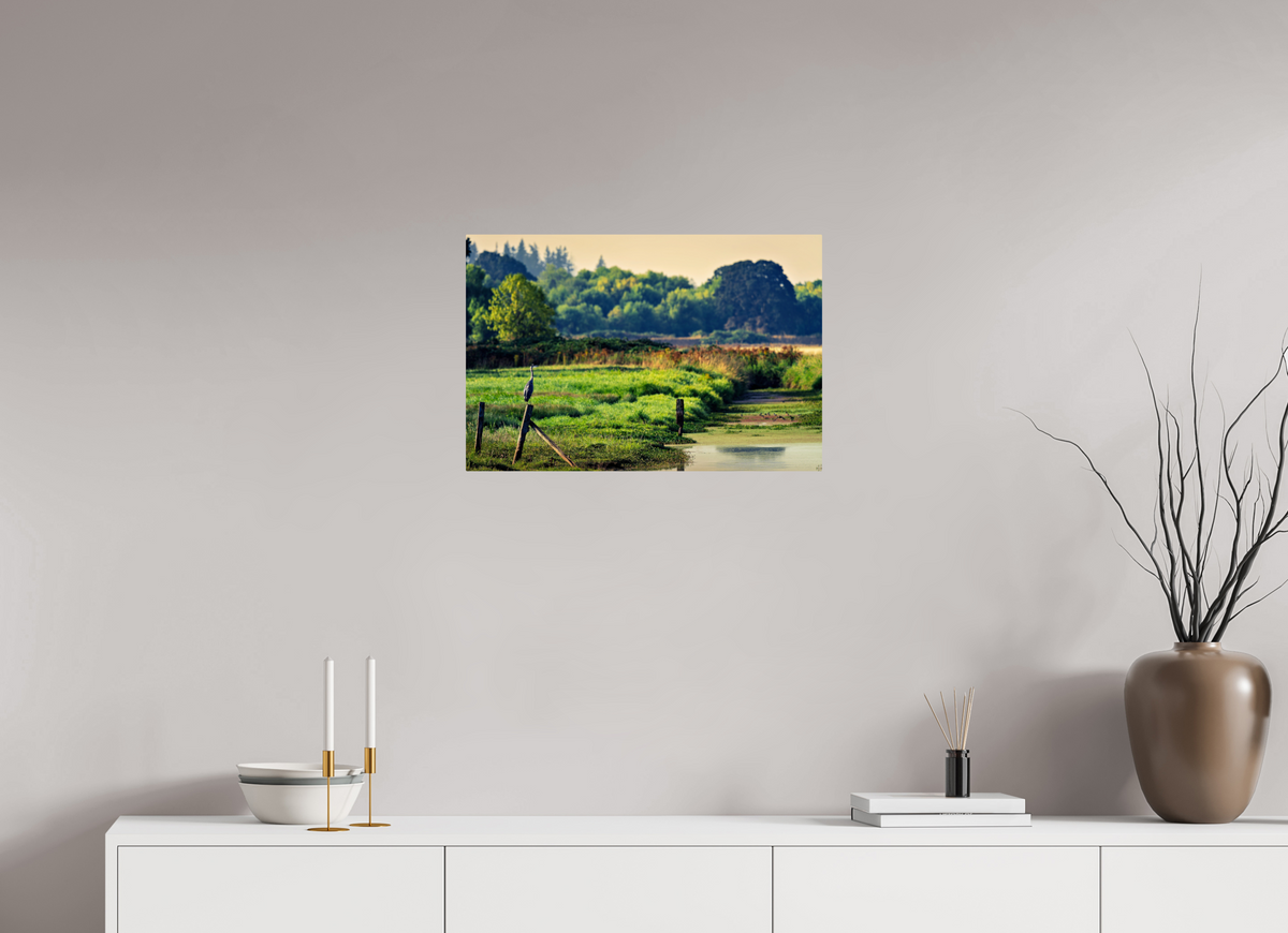 24 x 16″, ChromeLuxe HD Metal Print Rounded Conrners Great Blue Heron Watching Over the Wetland
