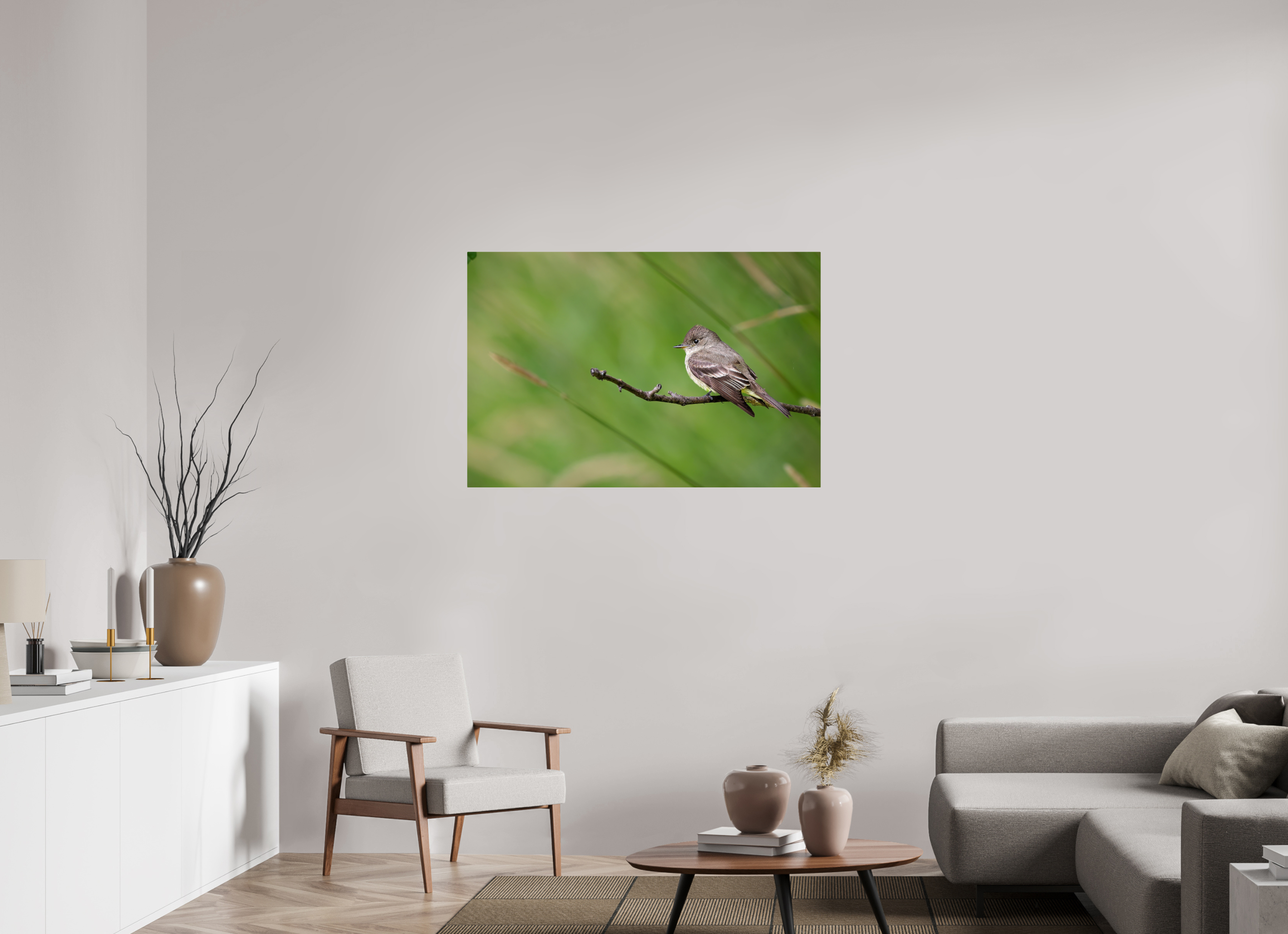 45 x 30″, ChromeLuxe HD Metal Print Rounded Conrners Western Wood-Pewee on a Bare Twig