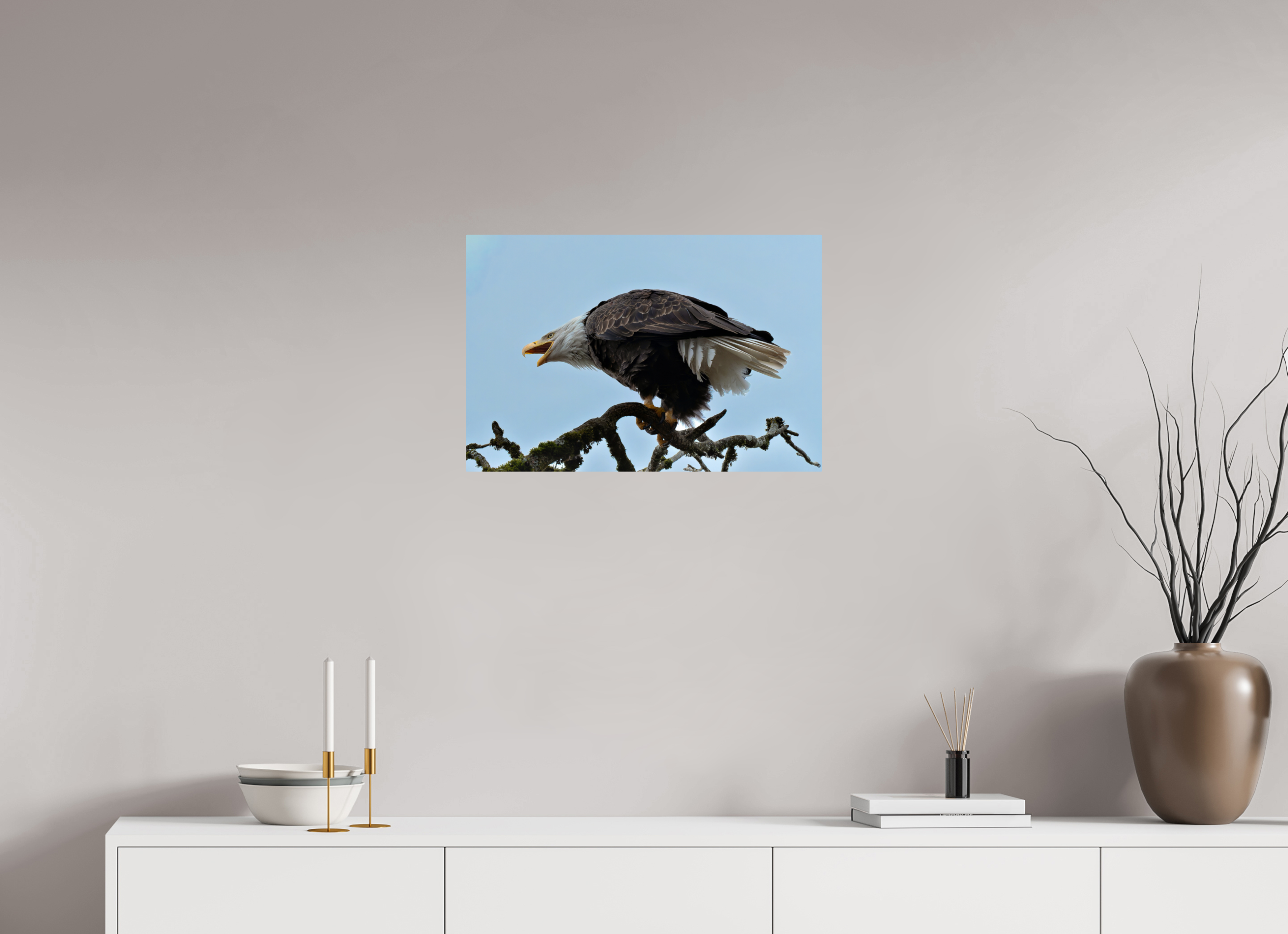 24 x 16″, ChromeLuxe HD Metal Print Rounded Conrners Bald Eagle Calling from the Snag