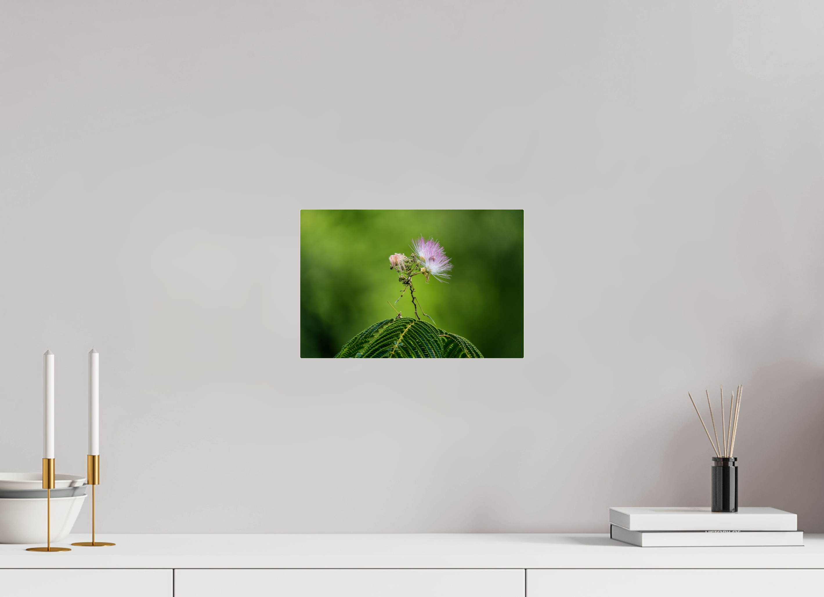 12 x 8″, Acrylic Glass Rounded Mimosa Blossom Against Green Bokeh
