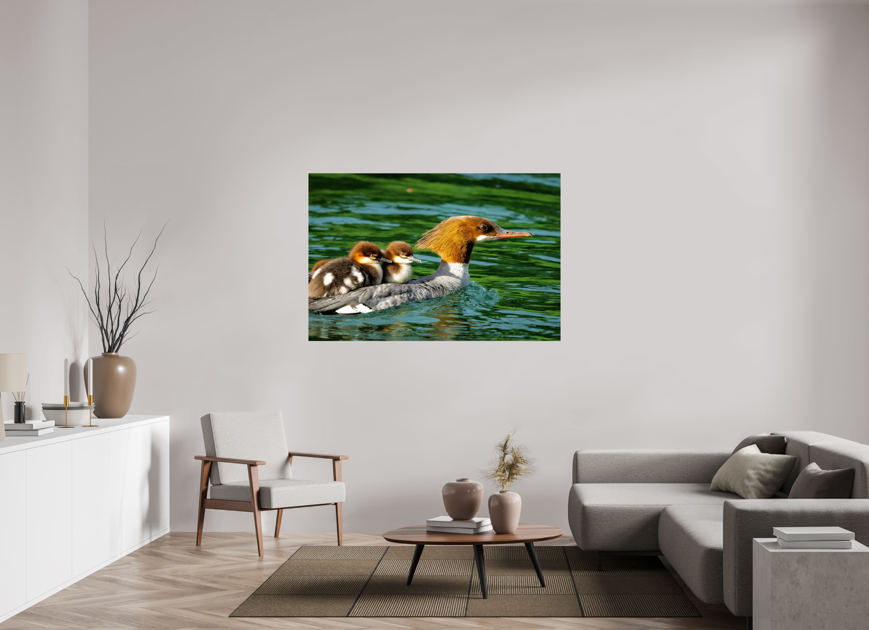 60 x 40″, Acrylic Glass Rounded Common Merganser Hen With Ducklings on Her Back