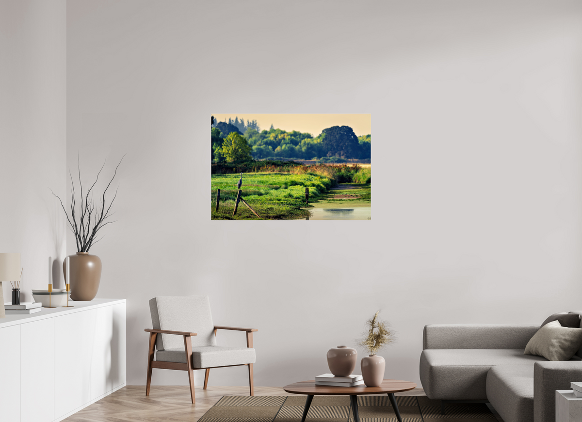 45 x 30″, Acrylic Glass Rounded Corners Great Blue Heron Watching Over the Wetland