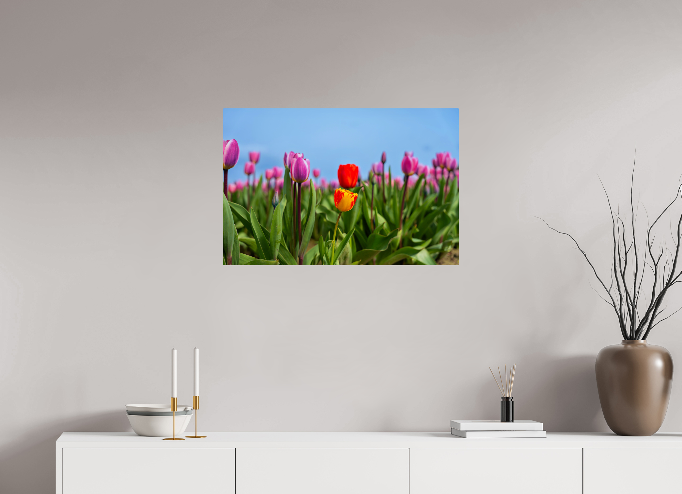 30 x 20″, ChromeLuxe HD Metal Print Rounded Conrners Red and Yellow Tulips Among a Purple Field