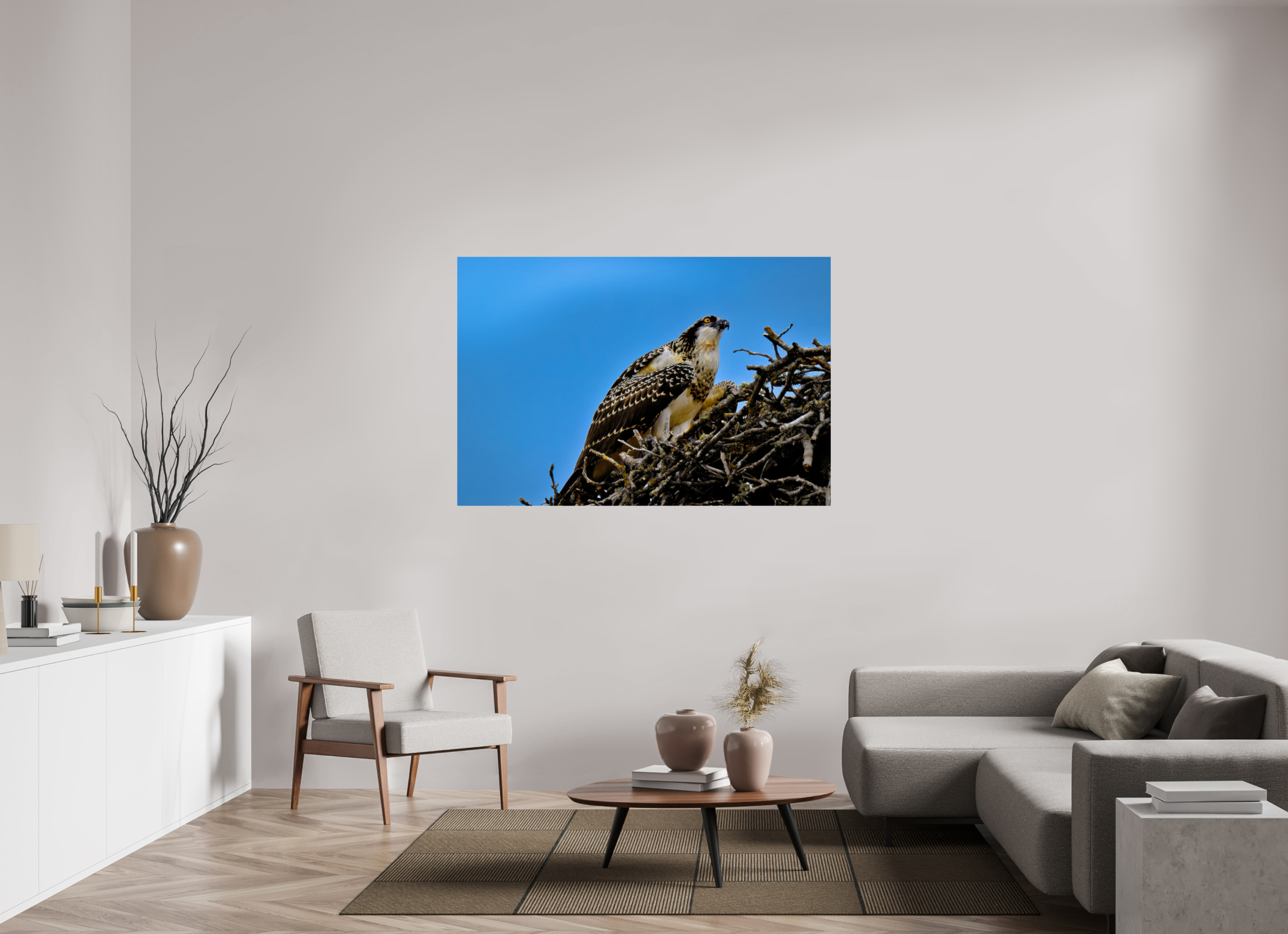 60 x 40″, ChromeLuxe HD Metal Print Rounded Conrners Young Osprey at the Nest