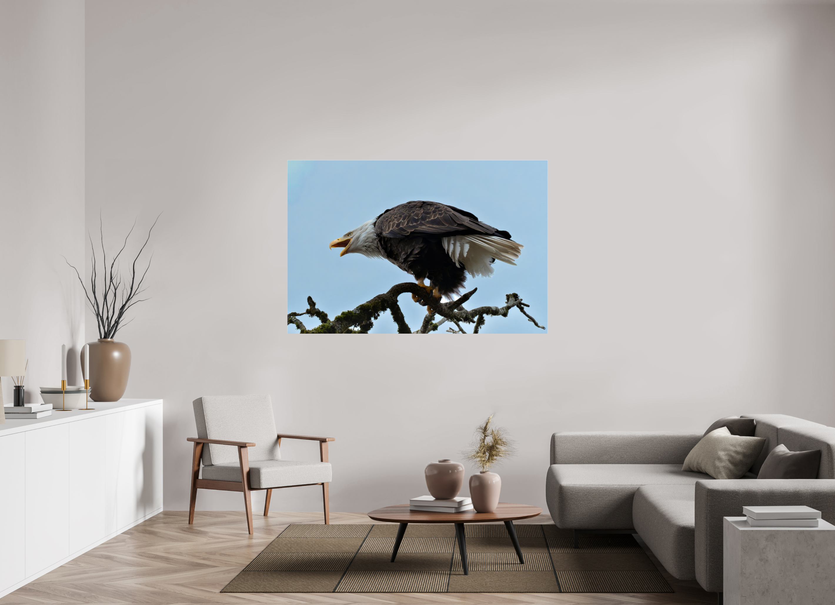 64.5 x 43″, Acrylic Glass Rounded Corners Bald Eagle Calling from the Snag
